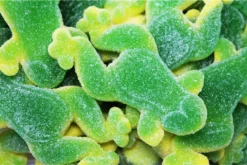 Fruchtgummi Giant Frogs Gezuckerter XL Riesen Fruchtgummi Frosch 1000g