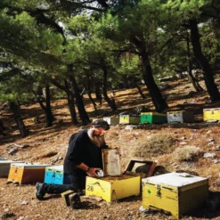 400g Glas Wildkräuterhonig Golden Melostalia Archontakis Aus Kreta Griechenland 14 400g Glas Wildkräuterhonig Golden Melostalia Archontakis Aus Kreta Griechenland -Haribo || Melitta || Katadyn Verkäufe 4e92ea174700db563d438cb457860a0b