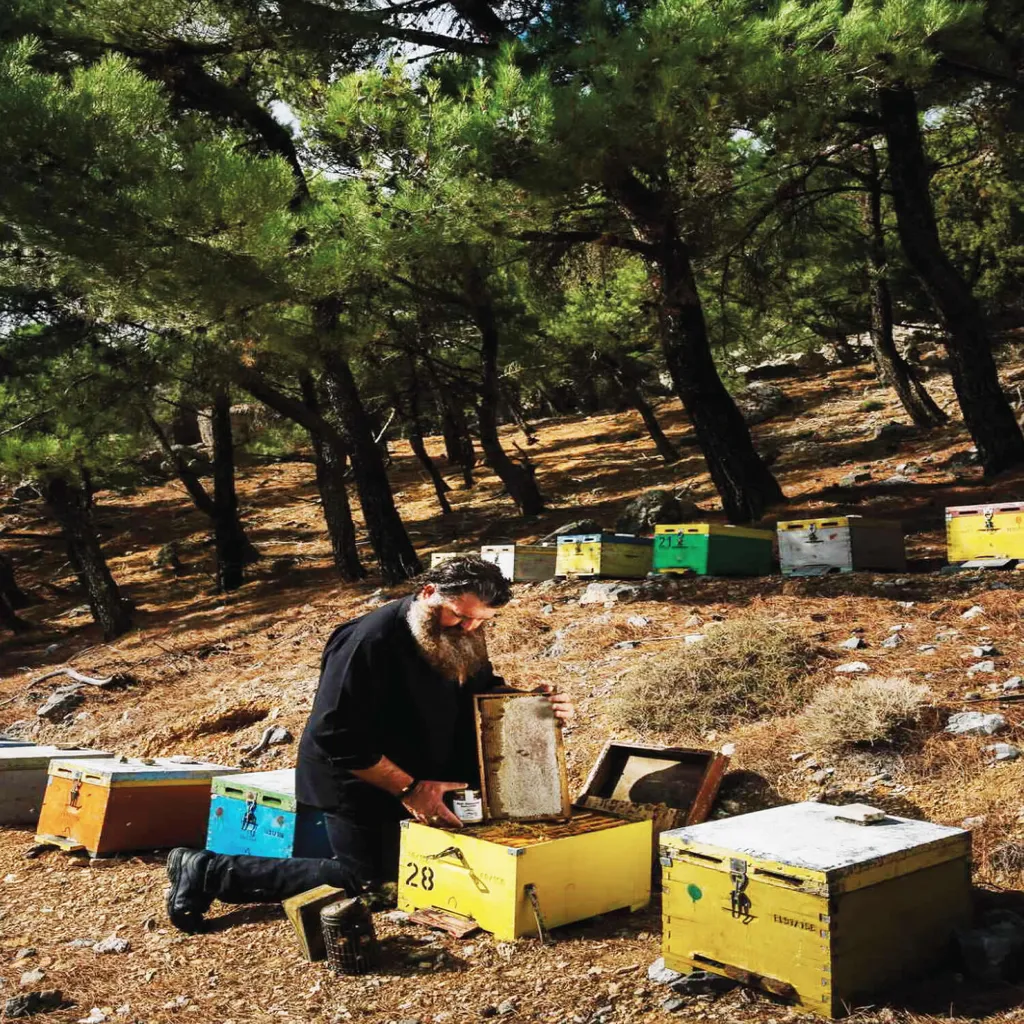 400g Glas Wildkräuterhonig Golden Melostalia Archontakis Aus Kreta Griechenland 8 400g Glas Wildkräuterhonig Golden Melostalia Archontakis Aus Kreta Griechenland – Bild 6