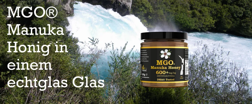 MANUKA HONIG BEE NATURAL MGO® 600+ 500g (= 2 X 250g) / MANUKAHONIG IN EINEM ECHTGLAS GLAS # MGO 300 ≥ UMF 10, 400 ≥ UMF 12, 550 ≥ 15, 700 ≥ 18, 800 ≥ 19, 850 ≥ 20 4 MANUKA HONIG BEE NATURAL MGO® 600+ 500g (= 2 X 250g) / MANUKAHONIG IN EINEM ECHTGLAS GLAS # MGO 300 ≥ UMF 10, 400 ≥ UMF 12, 550 ≥ 15, 700 ≥ 18, 800 ≥ 19, 850 ≥ 20 – Bild 2