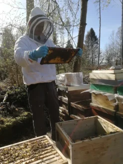 Echter Deutscher Honig - 6x500g Sommertracht -Haribo || Melitta || Katadyn Verkäufe 7b24294c7a70f3343b65505172bfeec7