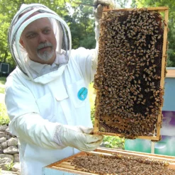 Manuka Honig | MGO 550+ | 500g | HALAL | Das ORIGINAL Aus NEUSEELAND | PUR, ROH & | 100% Natürlich | INKL. GRATIS HONIGLÖFFEL Aus Holz | PowerFabrik -Haribo || Melitta || Katadyn Verkäufe 7bf1fed05dfd8fec250728cfa0c1dc69