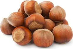 Natural Food Haselnüsse In Der Schale | PREMIUM | Frisch Und Lecker Aus Polen | 25 Kg -Haribo || Melitta || Katadyn Verkäufe e303ca44f88f33e4e3193a9db97d0265