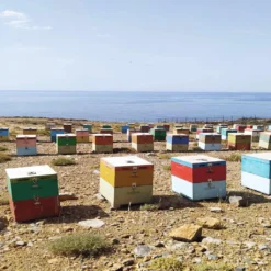 400g Glas Wildkräuterhonig Golden Melostalia Archontakis Aus Kreta Griechenland 13 400g Glas Wildkräuterhonig Golden Melostalia Archontakis Aus Kreta Griechenland -Haribo || Melitta || Katadyn Verkäufe e69eafa76a2d7f4ff5d9591d7927e635