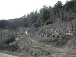 Aristos Griechischer Pinien Honig Aus Thassos 480 G 9 Aristos Griechischer Pinien Honig Aus Thassos 480 G -Haribo || Melitta || Katadyn Verkäufe f1fd5b62612a57976f54e071ffbba462